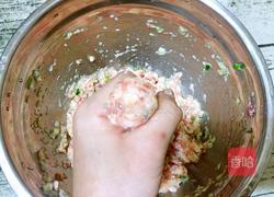 红烧狮子头的做法图解6