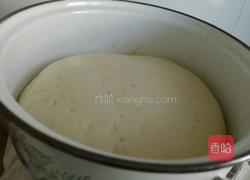 荸荠虾仁猪肉包子的做法图解9