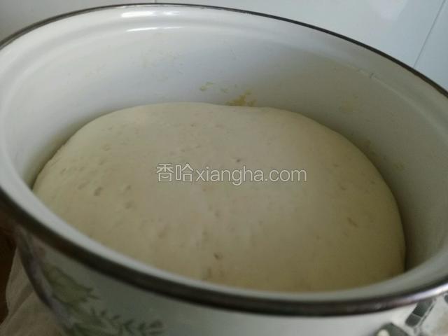 面饧发至2.5倍备用；