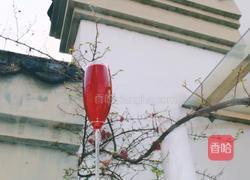 清血毒精力蔬果汁的做法图解7