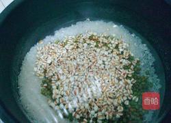 养胃粥的做法图解3