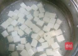 麻辣豆腐的做法图解2