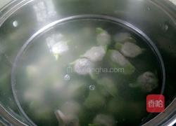 百财荠菜饺子的做法图解13