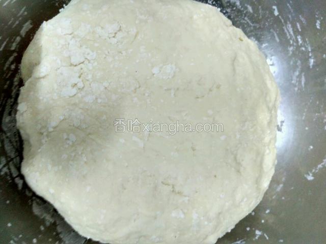 揉成无干粉的面团，盖上湿布，饧20分钟。