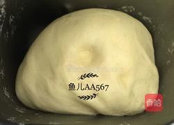炼乳小面包的做法图解4
