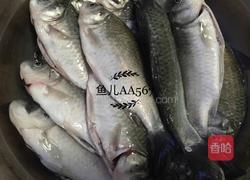 红烧鲫鱼的做法图解1