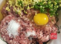 白菜馅肉饺的做法图解4