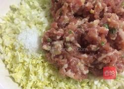 白菜馅肉饺的做法图解6