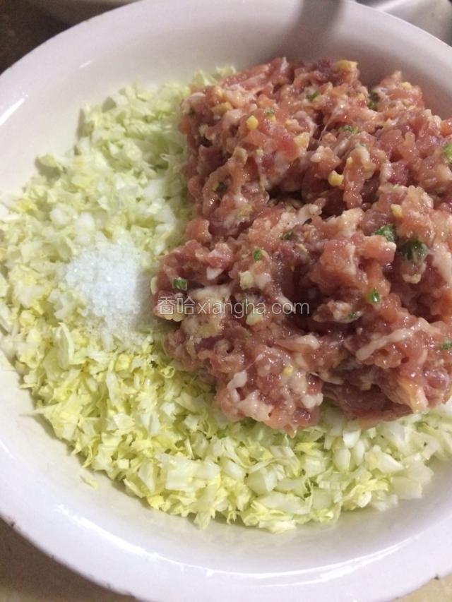 搅拌好的肉馅倒入大白菜装的盆内，放入适量的盐