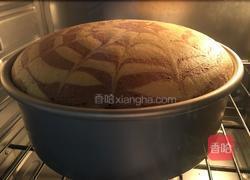 斑马纹戚风蛋糕的做法图解18