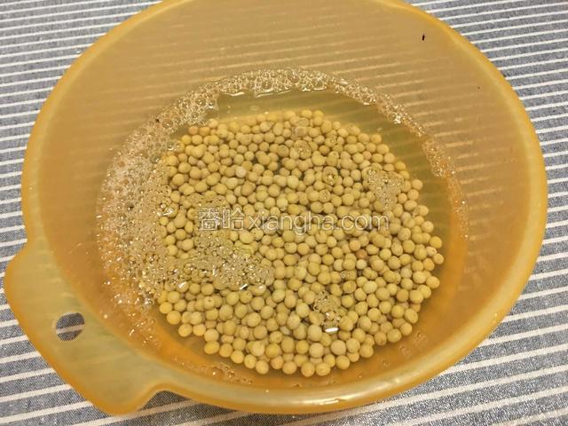 黄豆提前一晚泡发