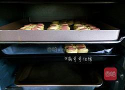 火腿肠肉松面包的做法图解15