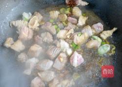 西红柿牛腩汤的做法图解3