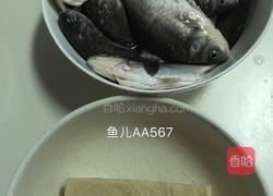 鲫鱼炖冻豆腐的做法图解1