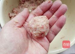 自制鱼肉丸子的做法图解5