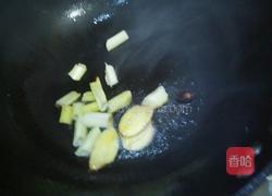 松蛾炖鸡的做法图解3