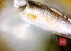 筒骨鲫鱼豆腐汤的做法图解6