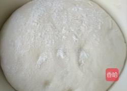 猪肉蒜苔馅水饺的做法图解2