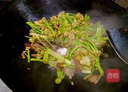 干锅花菜的做法图解7