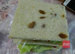 鸡蛋火腿三明治的做法图解15