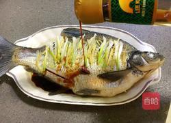 清蒸鳊鱼的做法图解11