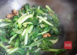 肉炒花叶菜的做法图解6