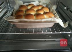 豆沙餐包的做法图解10