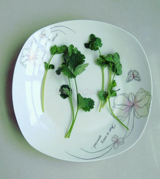 香菜选长短合适的备用。