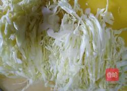 蒜香卷心菜的做法图解2
