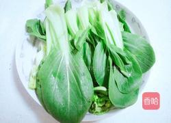 青菜炖豆腐的做法图解2