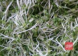 小白菜苗炒鸡蛋的做法图解1