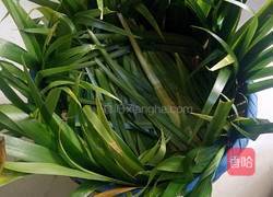 家庭版自制豆豉的做法图解9