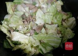 甘蓝菜炒肉的做法图解6