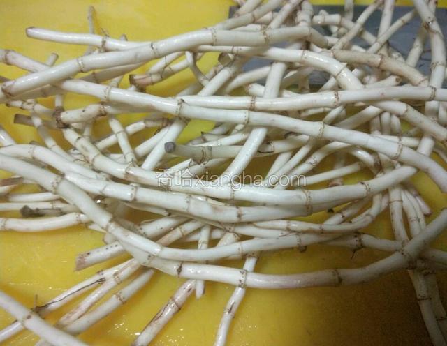 鱼腥草根洗干净，控干水