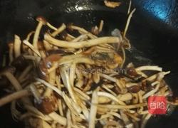 干锅茶树菇的做法图解4