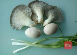 平菇炒鸡蛋的做法图解2