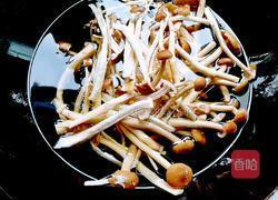 干锅茶树菇(无盐版)的做法图解5