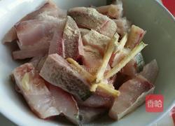红烧鲢鱼块的做法图解3