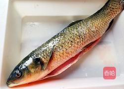 芝香酱口麻辣鱼的做法