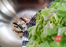 蒜蓉辣椒酱炒包菜的做法图解6