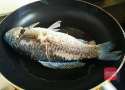 黄豆炖鲫鱼的做法图解3