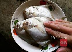 黄豆酱蒸鲳鱼的做法图解4