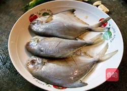 黄豆酱蒸鲳鱼的做法图解5