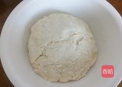 荠菜肉包子的做法图解4
