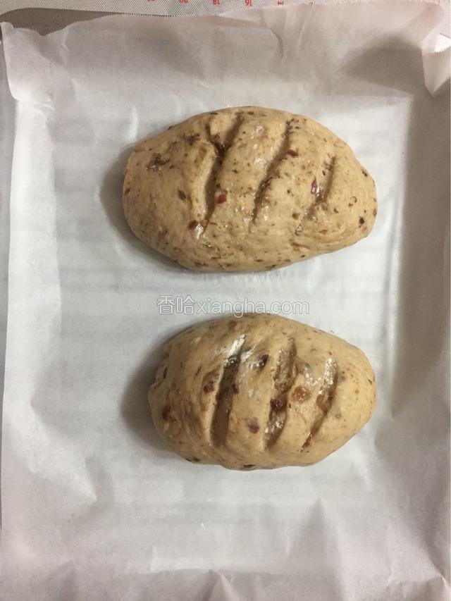 发酵好的面团用刀划上几个口子，并筛上一些面粉。放入烤箱。烤箱提前160度预热十分钟。面包放入以后，150度烤25分钟。最后140度烤10分钟。中途要盯着，根据上色情况盖上锡纸。