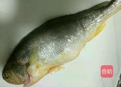 煎焖黄花鱼的做法图解2