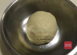 毛毛虫面包的做法图解7