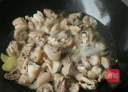 焖羊肉的做法图解6