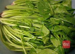 凉拌菠菜的做法图解2