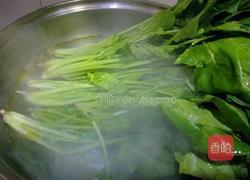 凉拌菠菜的做法图解3